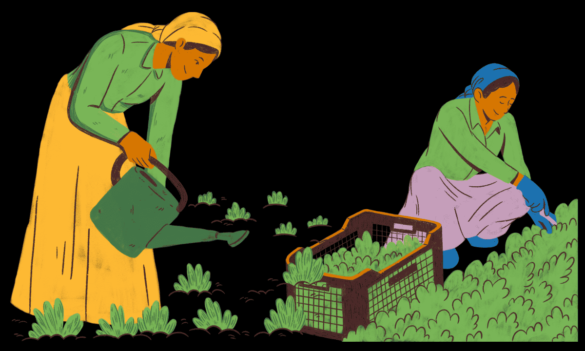 Krishi Sakhi Yojana 2024 